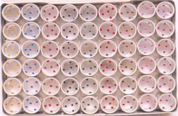 BOX BINDI ( BB-002 )